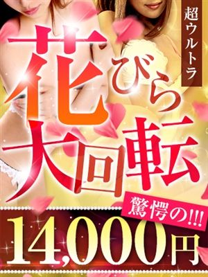 花びら／１４０００円 メイン画像