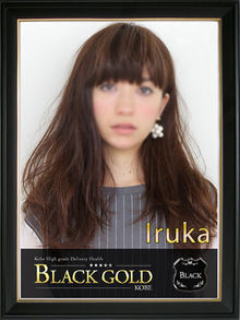 Black Gold Kobe いるか 画像